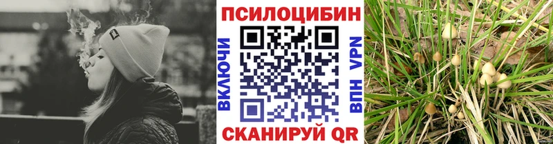 Галлюциногенные грибы мухоморы  Нерчинск 